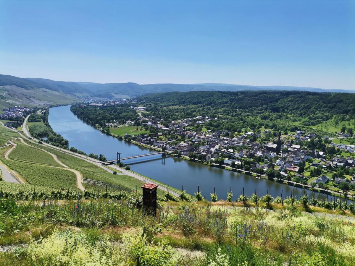 Sonnenufer & Moselwein I * Bernkastel-Kues