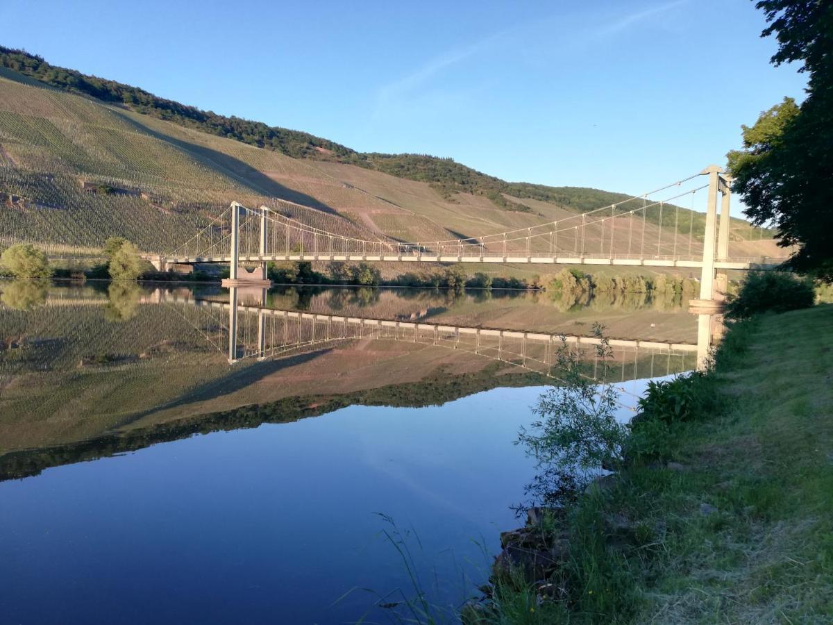 Sonnenufer & Moselwein I * Bernkastel-Kues